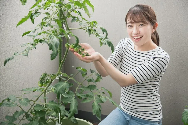 ベランダガーデニングを楽しむ! 初心者にもおすすめのベランダ菜園